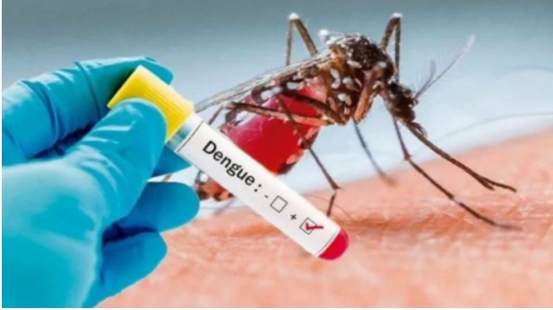 Casos de dengue aumentam 116%, na Paraíba.
