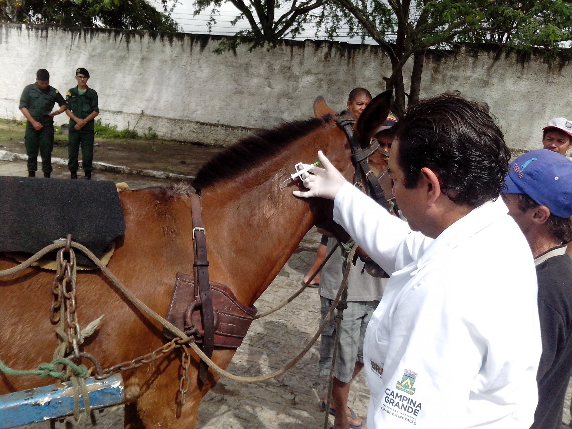 Prefeitura de Campina Grande realiza ação nesta quarta-feira para carroceiros