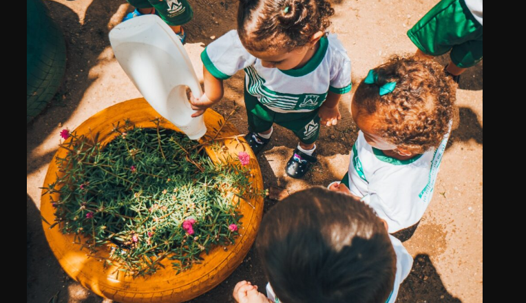 Prefeitura de Campina Grande realiza Seminário de Educação Ambiental a partir desta terça-feira