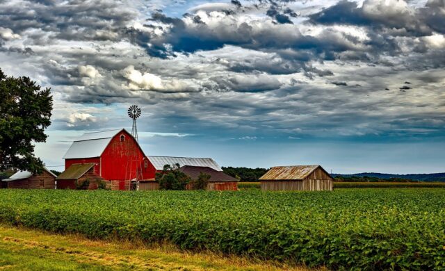 Estados Unidos liberam agricultura em áreas de conservação ambiental