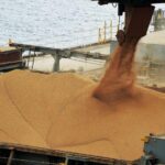 Brasil deve exportar maior volume de soja da história em 2023