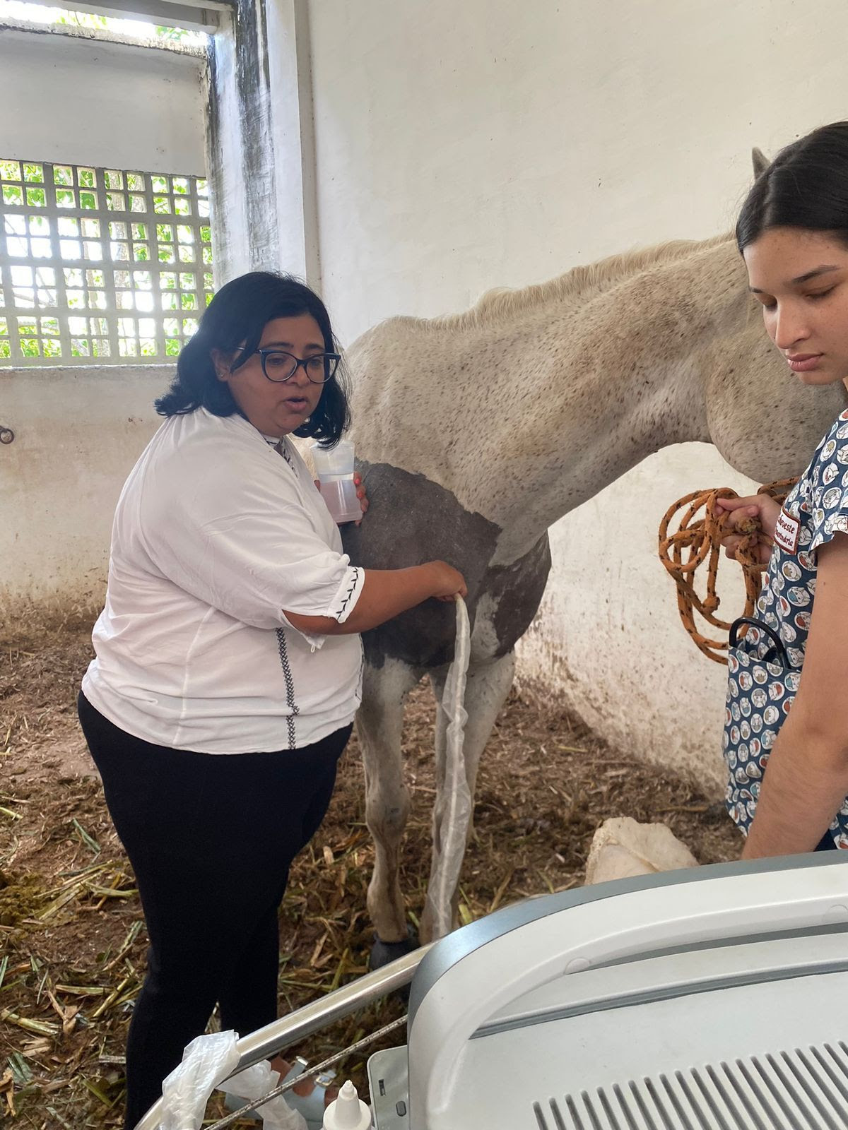 8 DE MARÇO: Veterinárias e zootecnistas contribuem diretamente para agronegócio e mercado pet