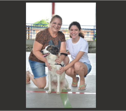 Centro de Zoonoses promove feira de adoção de cães e gatos neste sábado na Praça da Bandeira