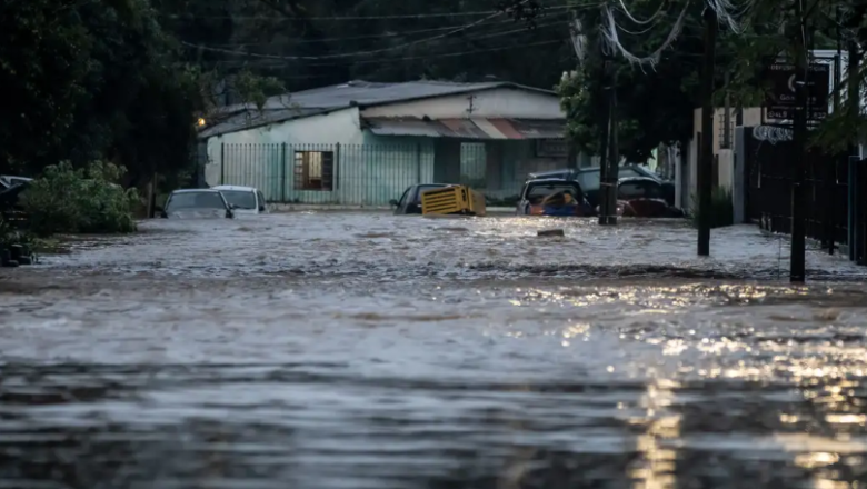 Rio Grande do Sul tem mais de 800 casos suspeitos de leptospirose