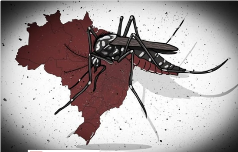 Lula III e o caos na saúde, dengue já causou prejuízo de R$ 28 bilhões esse ano.